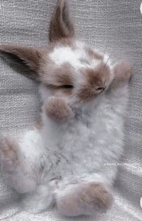 Kuroo and Kenma -M4F