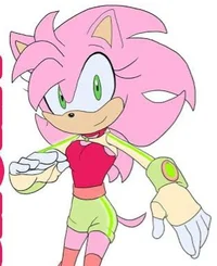 Aurora The Hedgehog