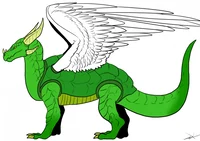 Ridley Turtle Dragon