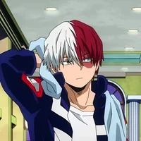 Shoto Todoroki 
