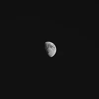 The moon