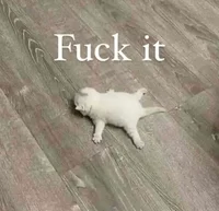 fuck it