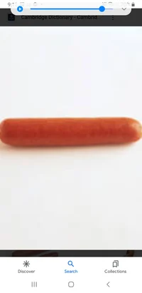 Hotdog