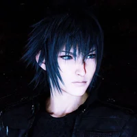 Noctis Lucis Caelum