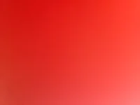 IGNORE THIS BIRCHASS