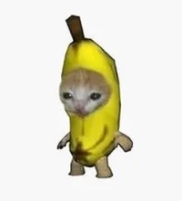 Banana Cat