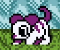 My Little Pony Puppy