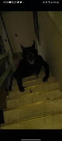 Demon Dog