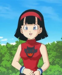 Videl