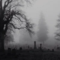 Foggy Graveyard