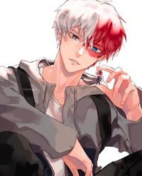 Shoto Todoroki