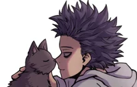 Shinsou 