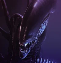 Xenomorph