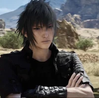 Noctis Lucis Caelum