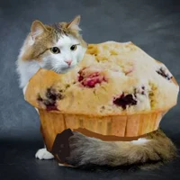 Cranberry Ragamuffin