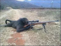 Sniper monkey