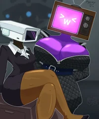Camara woman y tv w