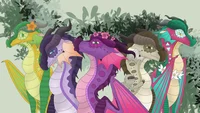 RainWing Queens