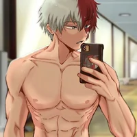 Shoto todoroki 