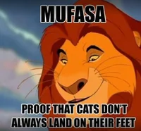 MUFASA 