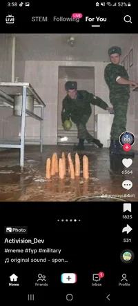 Warrior cat ink sans