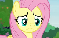 Flutter shy