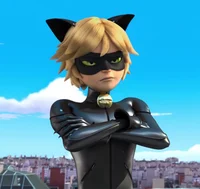 Chat Noir