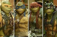 The Ninja Turtles