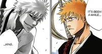 Ichigo and Hichigo