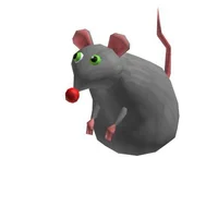 Rat