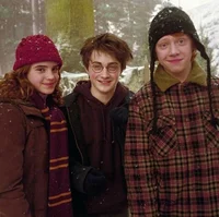 Harry potter trio