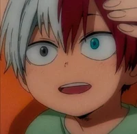 Shoto Todoroki 