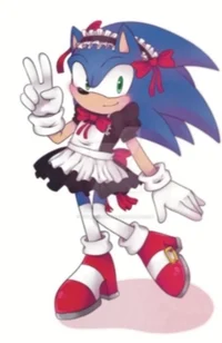 Sonic The Maid