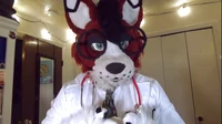 Dr furry