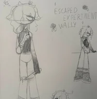 Esc experiment wally