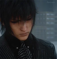 Noctis Lucis Caelum