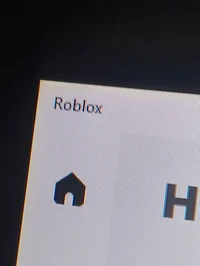 Roblox 