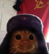 Communist Cat