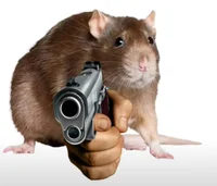 Rat With a Gun