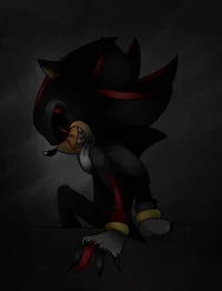 Shadow exe