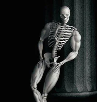 Buff skeleton 