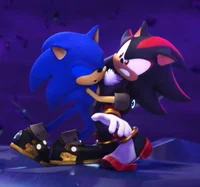 Sonic x Shadow