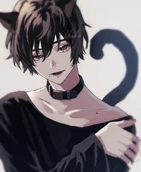 Abandoned cat