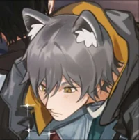 Raccoon Caelus
