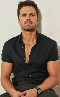 Sebastian Stan 