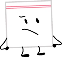 EvidenceBag BFDIMINI