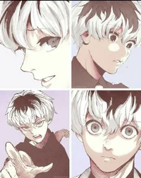 Haise Sasaki