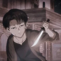 Levi