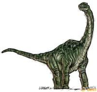 Camarosaurus 