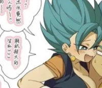 Vegito Fem